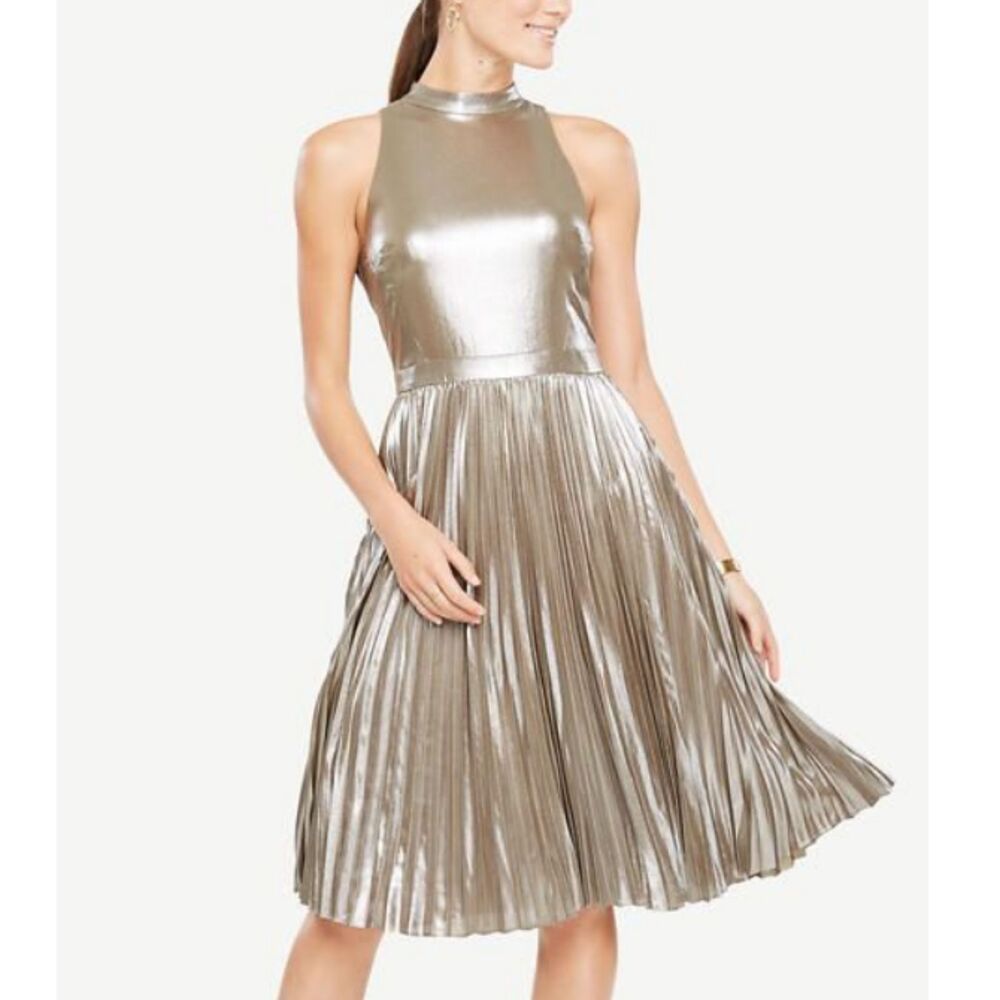 Ann Taylor Women's Petite Size 6P Metallic Shimmer Chiffon Pleated Dress EUC